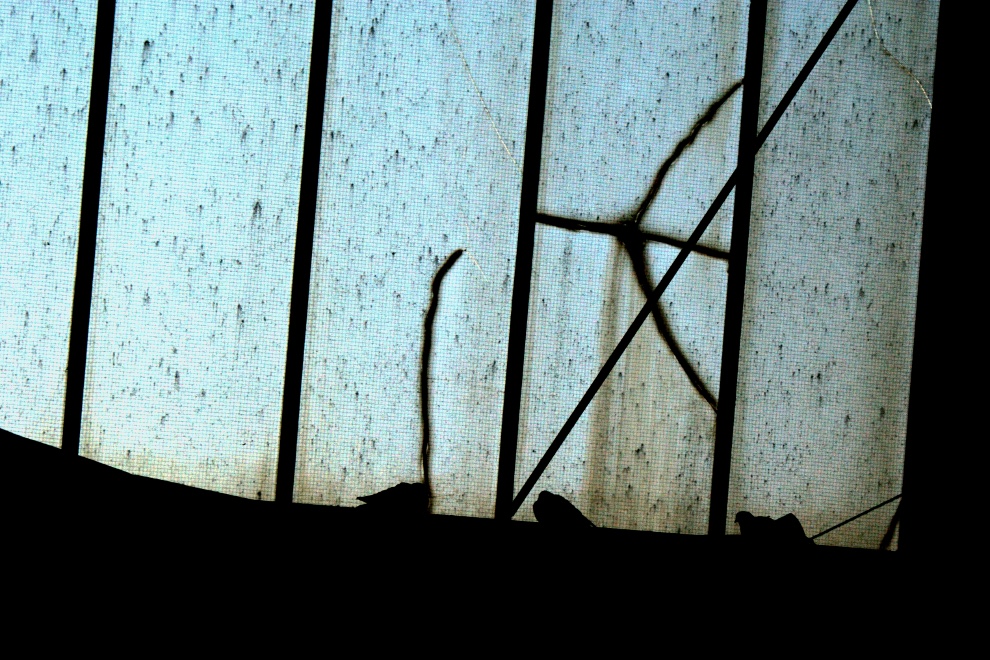 Sunday, 27-12-2009 ende