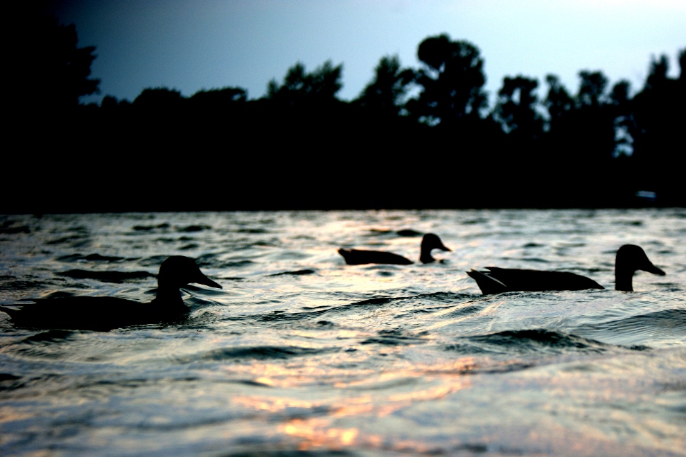 Saturday, 12-06-2010 ende